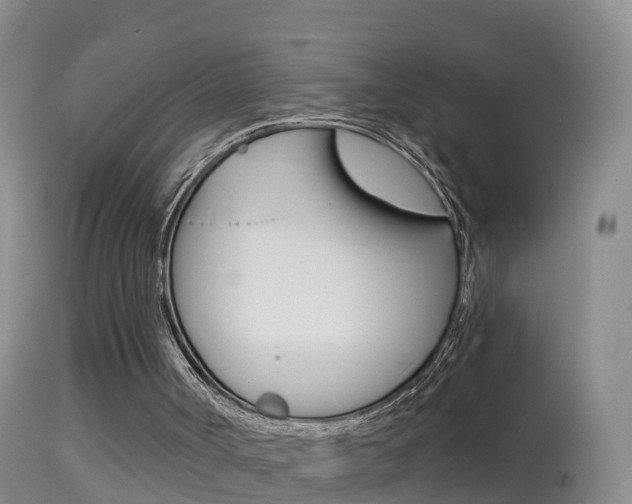 X0000114390002200910161043