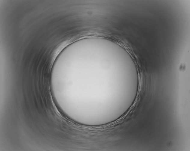 X0000114390003200910161043
