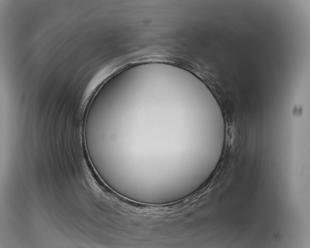 X0000114390004200910161043