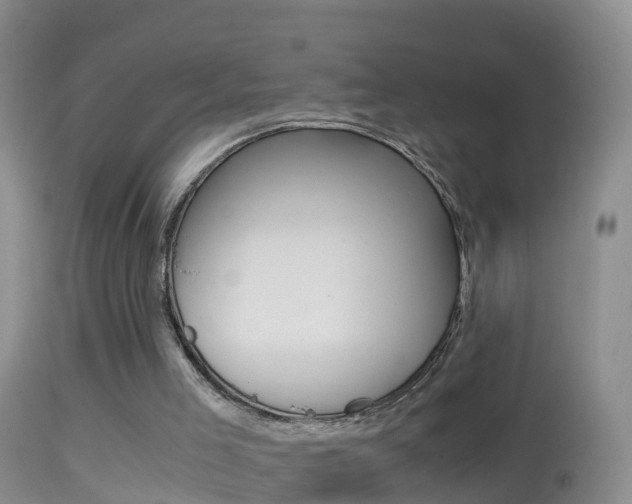 X0000114390005200910161043