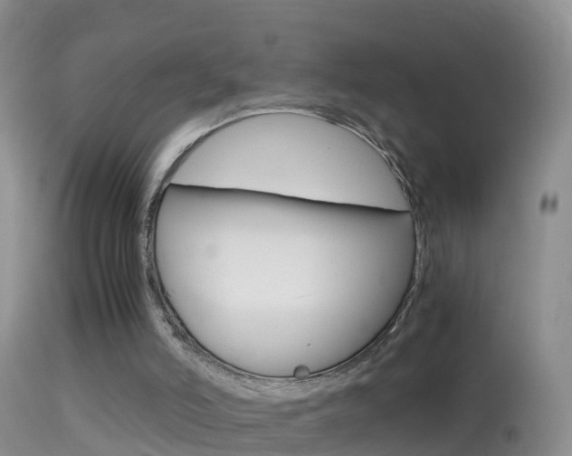 X0000114390006200910161043