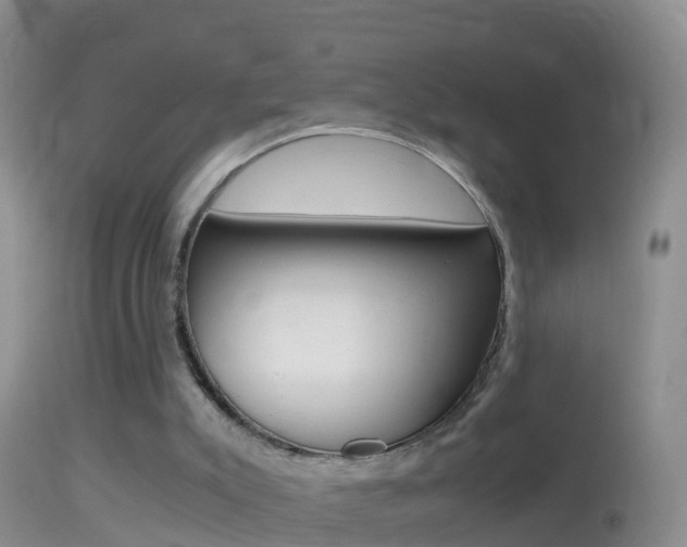 X0000114390007200910161043
