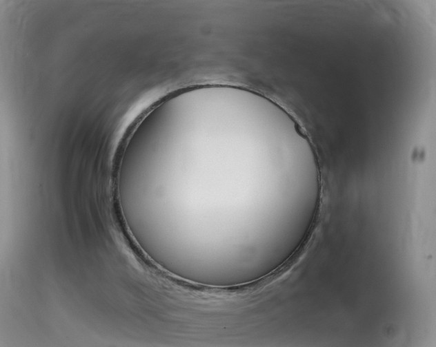 X0000114390008200910161043