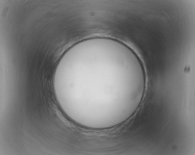 X0000114390009200910161043