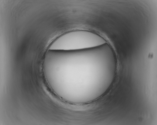 X0000114390010200910161043