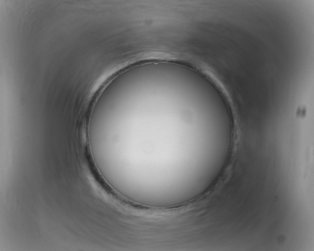 X0000114390011200910161043