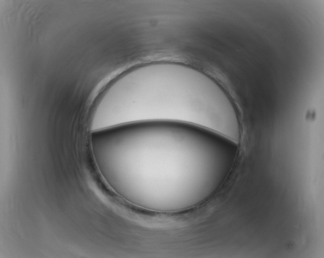 X0000114390012200910161043
