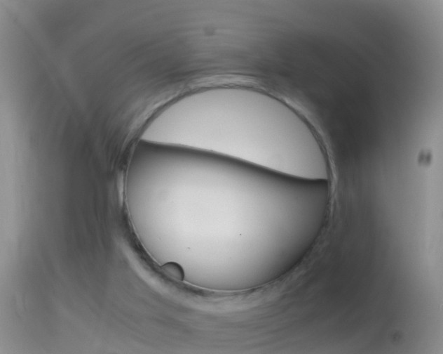 X0000114390013200910161043
