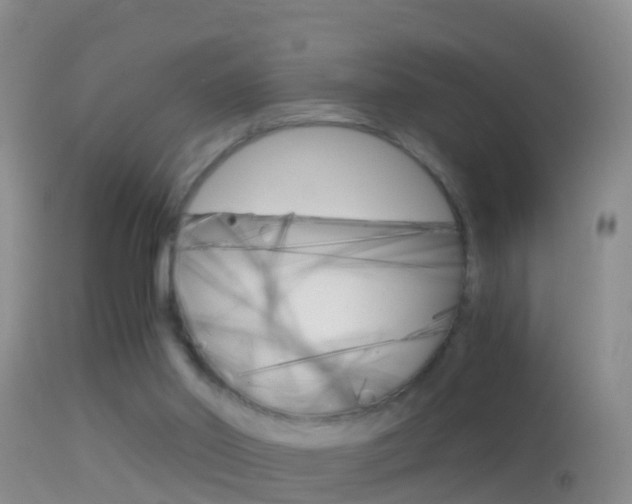 X0000114390014200910161043