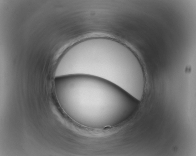 X0000114390015200910161043