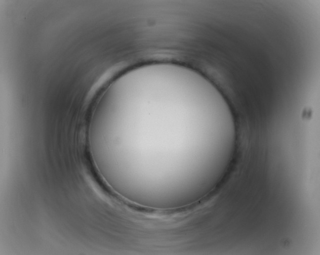 X0000114390016200910161043