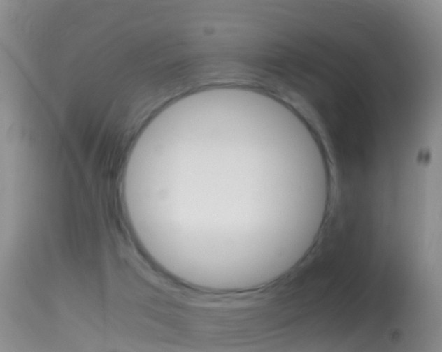 X0000114390017200910161043