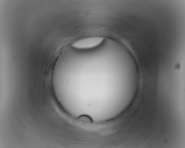 X0000114390018200910161043