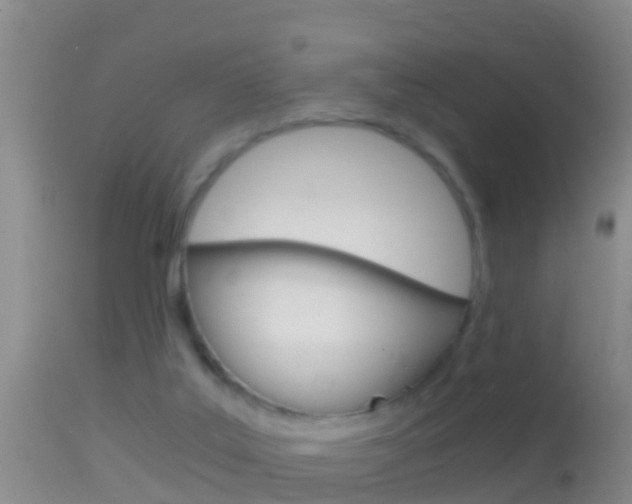 X0000114390019200910161043