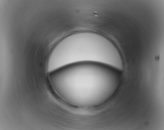 X0000114390020200910161043