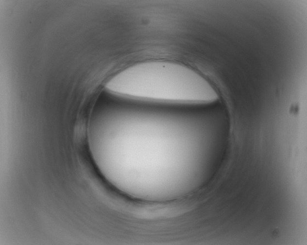X0000114390021200910161043
