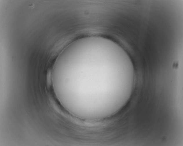 X0000114390022200910161043