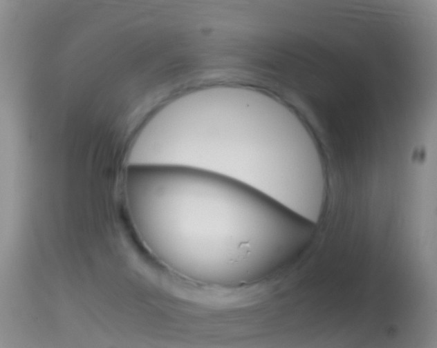 X0000114390023200910161043