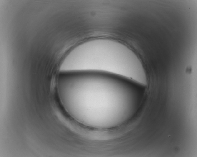 X0000114390024200910161043