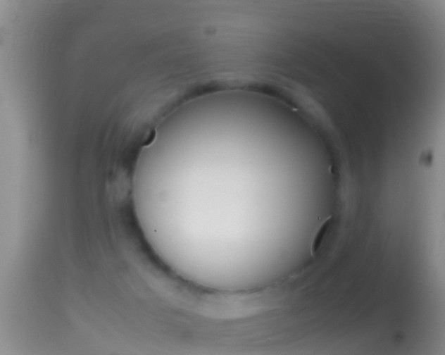 X0000114390025200910161043