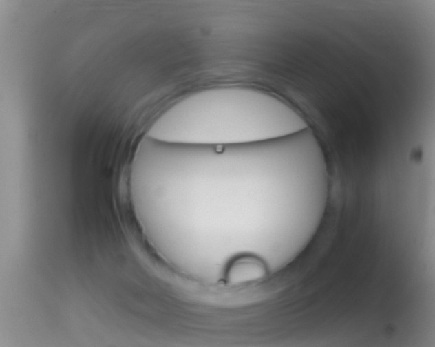 X0000114390026200910161043