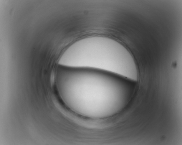 X0000114390028200910161043