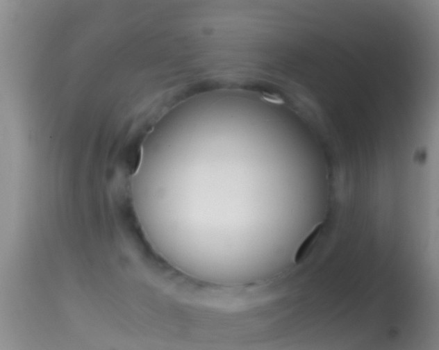 X0000114390029200910161043