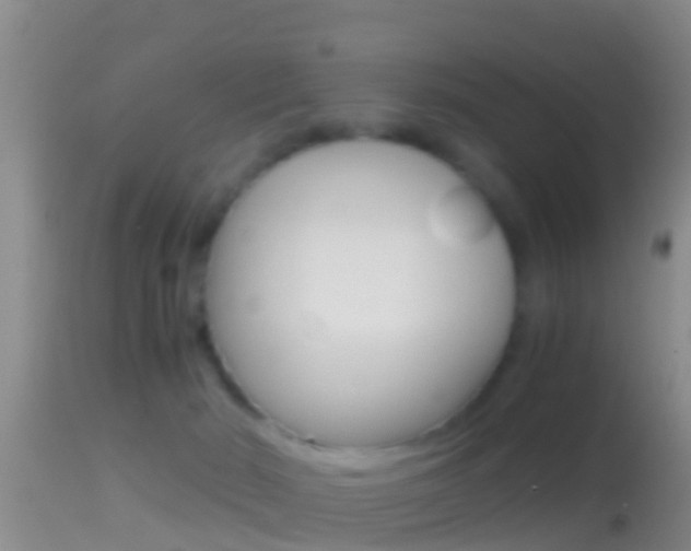 X0000114390030200910161043