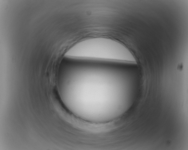 X0000114390031200910161043