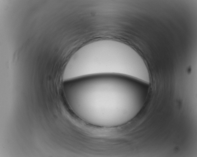 X0000114390036200910161043