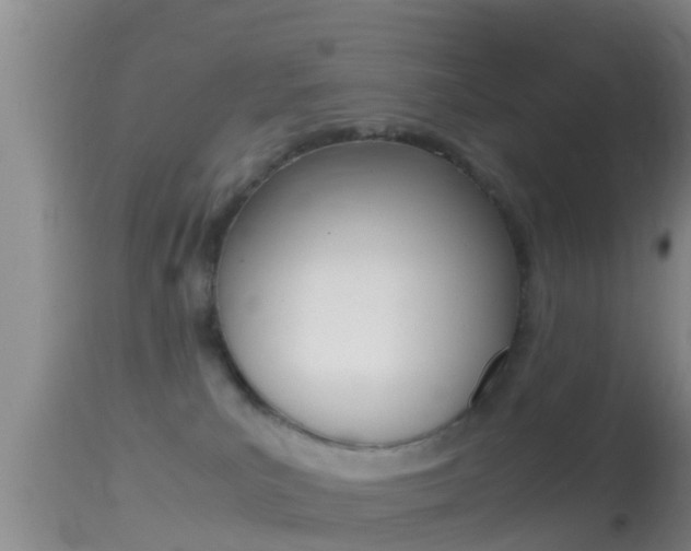 X0000114390039200910161043