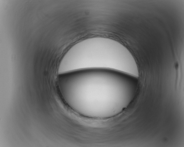 X0000114390040200910161043