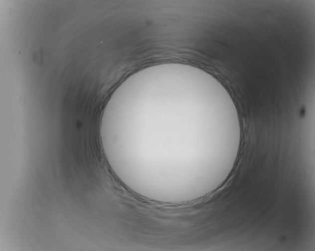 X0000114390041200910161043