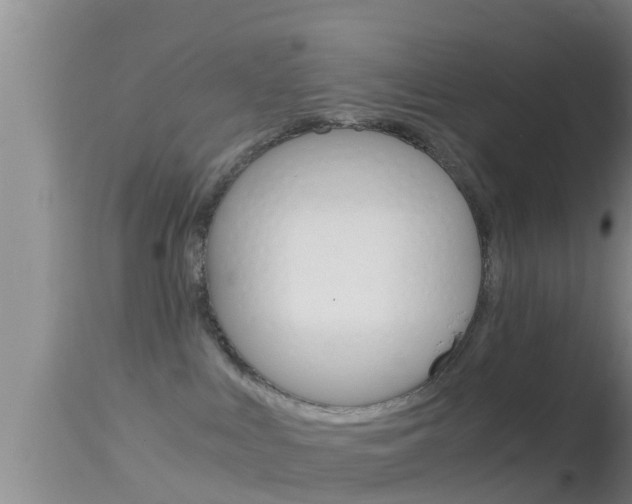 X0000114390043200910161043