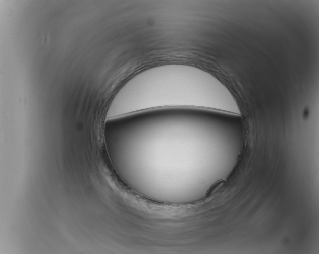 X0000114390044200910161043