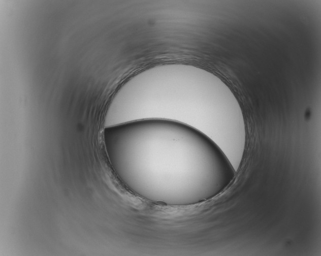X0000114390045200910161042