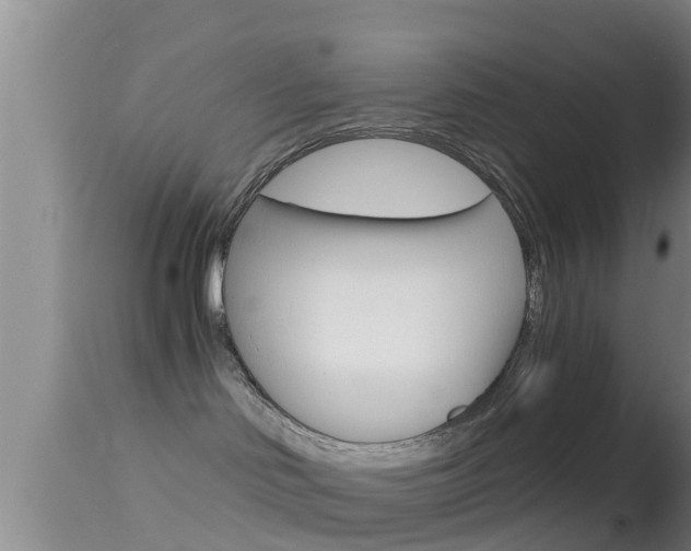 X0000114390046200910161042
