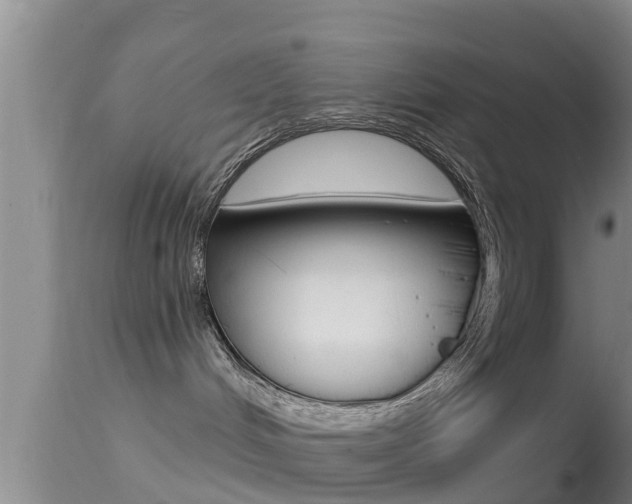 X0000114390048200910161042