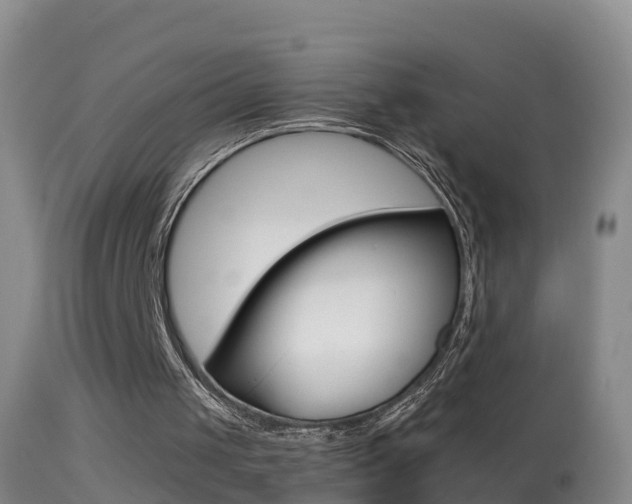 X0000114390049200910161042