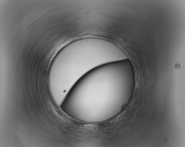 X0000114390050200910161042