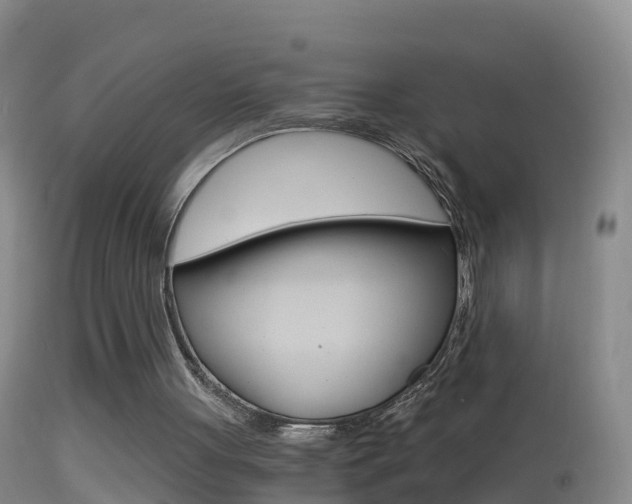 X0000114390051200910161042