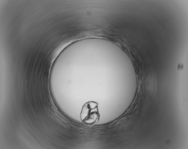 X0000114390052200910161042