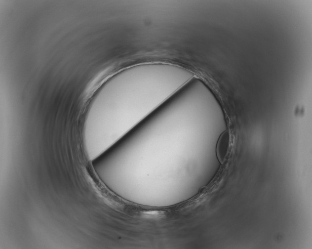 X0000114390053200910161042