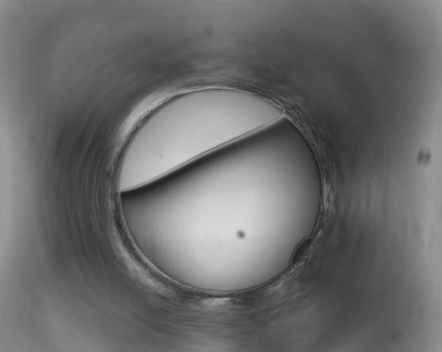 X0000114390054200910161042