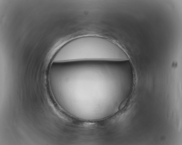 X0000114390055200910161042