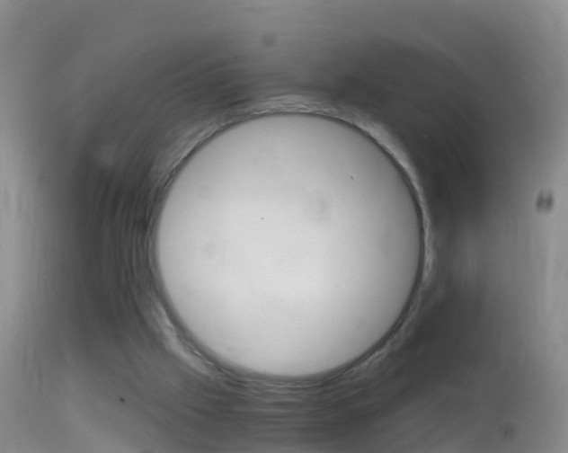 X0000114390057200910161042
