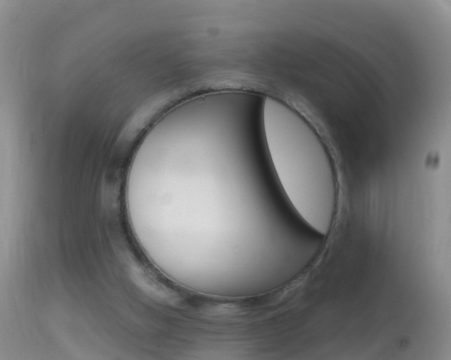 X0000114390058200910161042