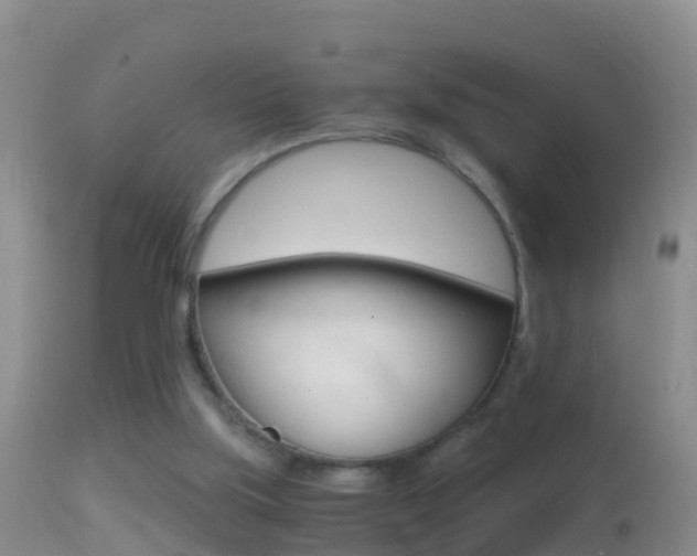 X0000114390059200910161042