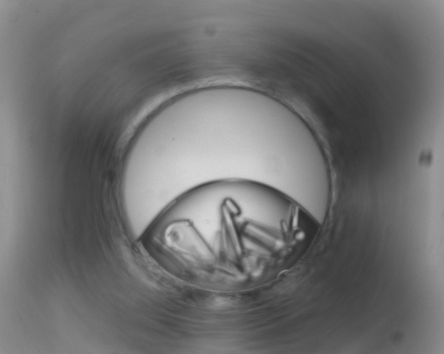 X0000114390060200910161042