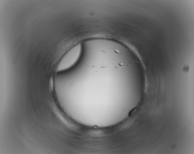 X0000114390061200910161042